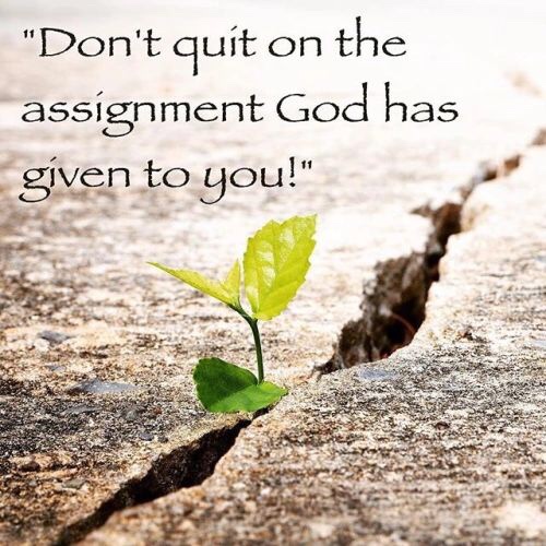 Don’t Quit The Assignment God Has Given You! | 4GIVEN